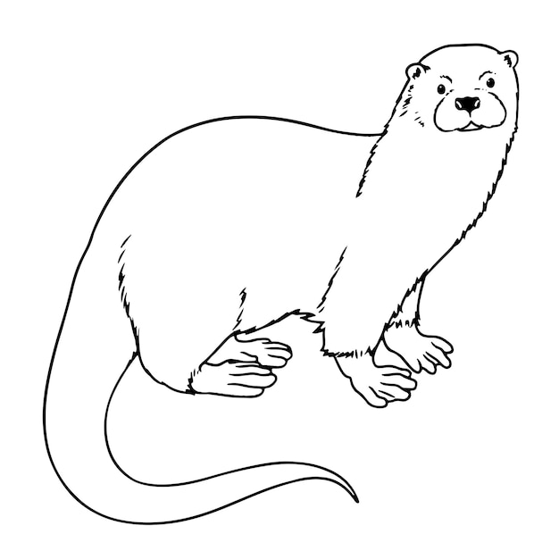 Vector vector hand getrokken otter schets illustratie