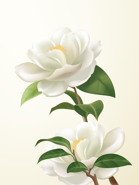 Vector vector hand painted white camellias