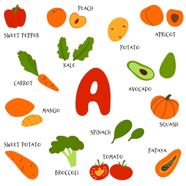 vector hand tekenen fruit en groenten rijk aan betacaroteen Voedselbronnen infographic van vitamine A