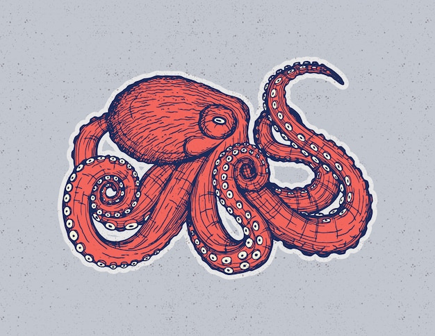 Vector hand tekenen ontwerp met een octopus geïsoleerd van achtergrond.