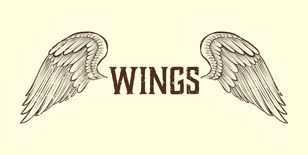 Vector handdrawing vintage wings