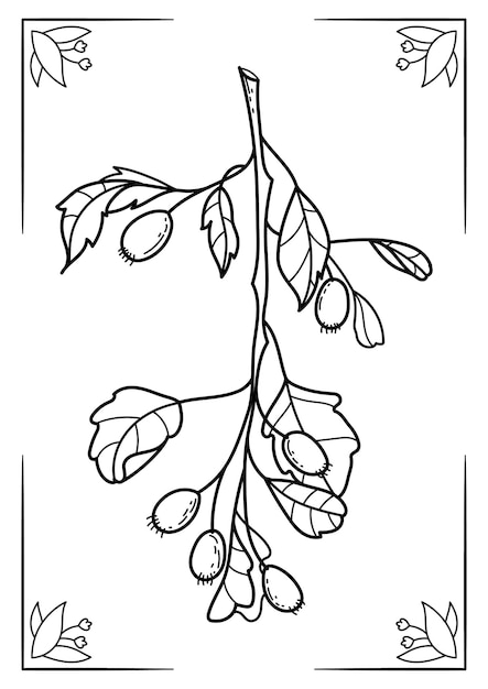Vector vector handdrawn botanical coloring book page