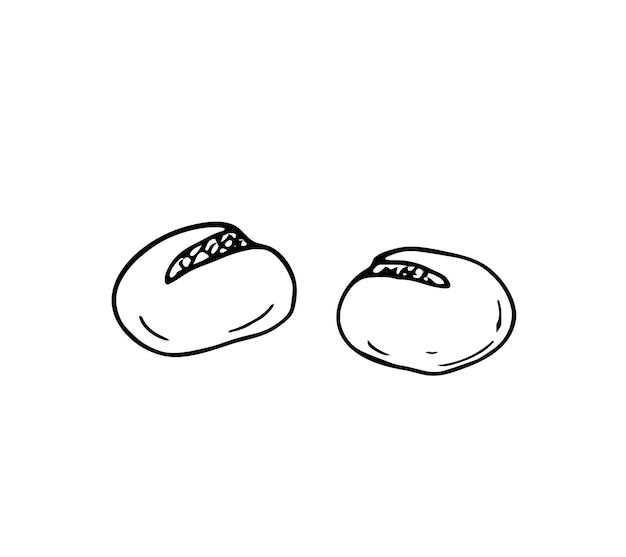 Векторные ручные булочки на белом фоне Изолированная иллюстрация Векторный элемент дизайна пекарни