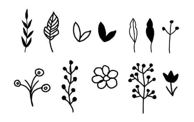 Vector vector handdrawn decorative floral elements