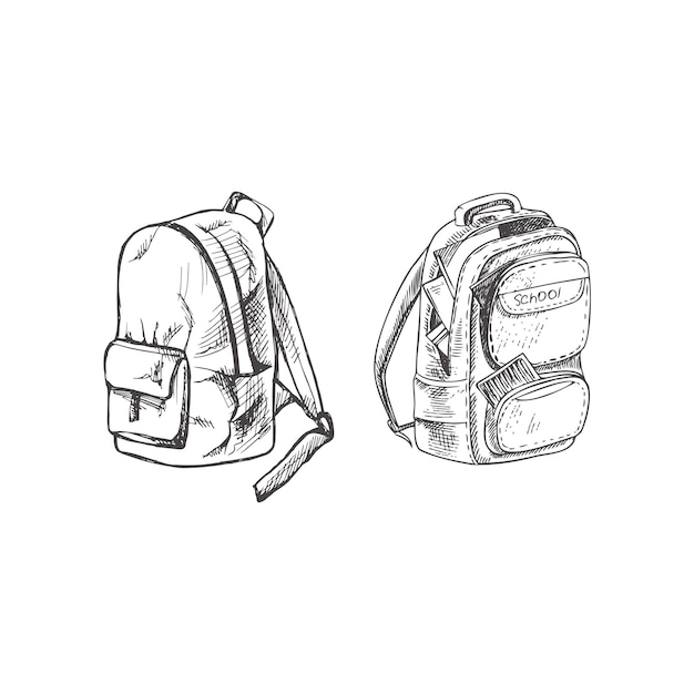 Vector handdrawn school Illustration Detailed retro style backpacks sketch Vintage sketch element