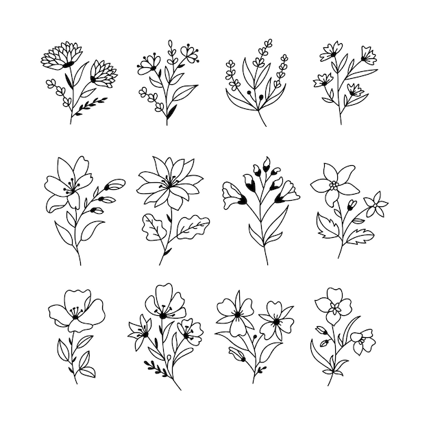 Vector vector handdrawn set of bouquet drawing white background