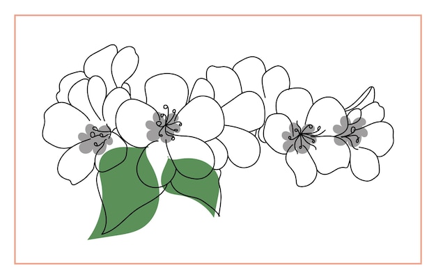 Vettore collezione di fiori primaverili disegnati a mano vettoriale isolata su sfondo bianco set vettoriale di fiori carini