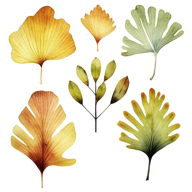 Vector vector handgetekende aquarel bloembladeren illustratie clipart