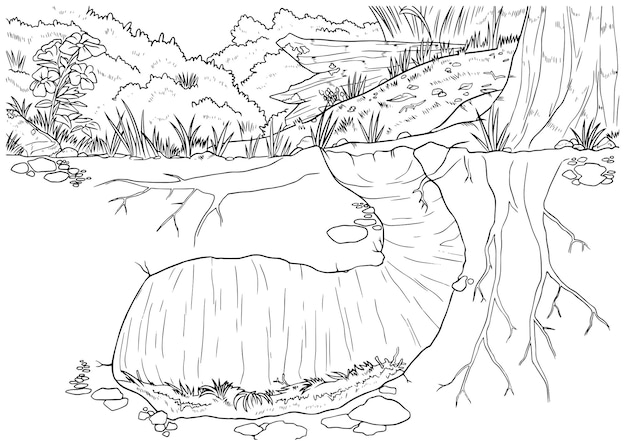 Vector handgetekende habitat hol in het bos contour illustratie