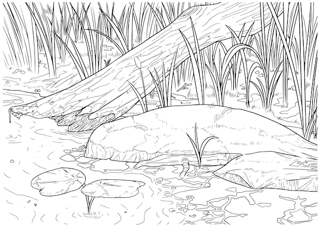 Vector handgetekende habitat moeras met rotte stam contour illustratie