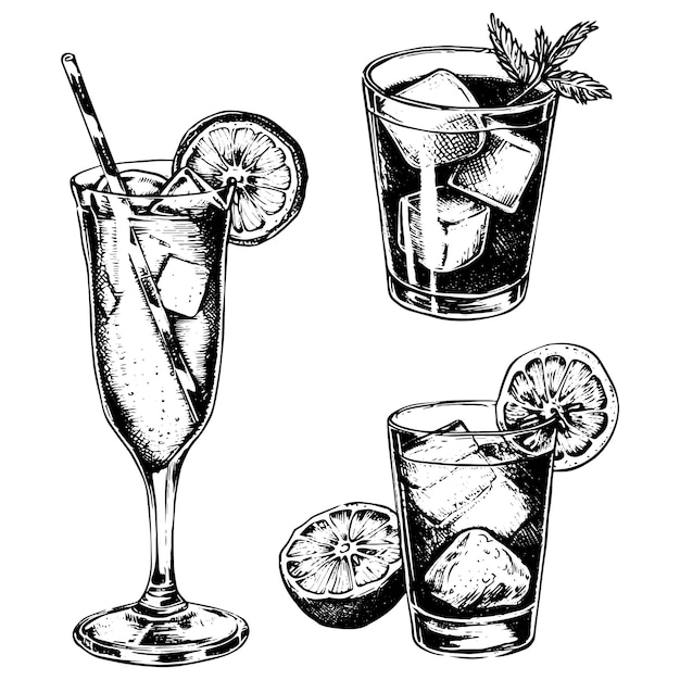 Vector vector handgetekende illustratie met dranken sketch vintage retro stijl eten vector illustratie inkt tekenen dranken
