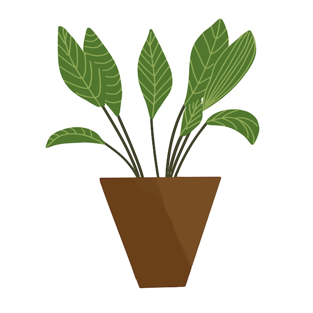 Vector handgetekende kamerplant in pot Doodle stijl geïsoleerd op een witte achtergrond