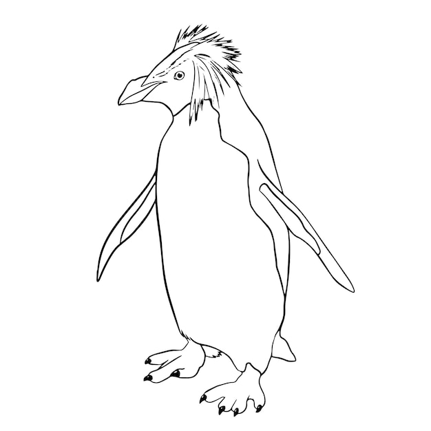 Vector handgetekende staande pinguïn contour illustratie voor het kleuren