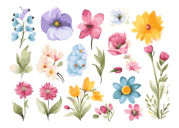 vector handgetekende waterverf voorjaars bloemencollectie
