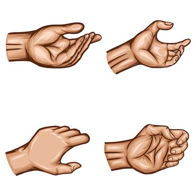 Vector of hands holding gesture set