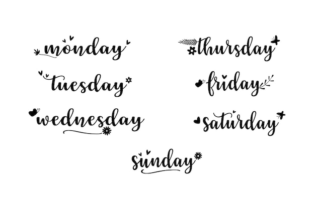 Handwritten Days Of Week. Sunday, Monday, Tuesday, Wednesday, Thursday,  Friday, Saturday. Modern Calligraphy. Isolated On White Background. Royalty  Free SVG, Cliparts, Vectors, and Stock Illustration. Image 76222813.