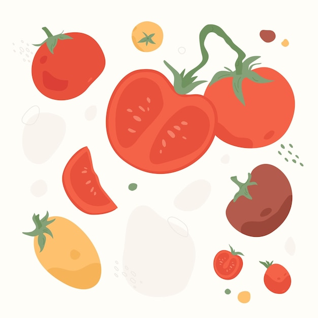 Вектор Векторный сборник овощей для урожая помидоров