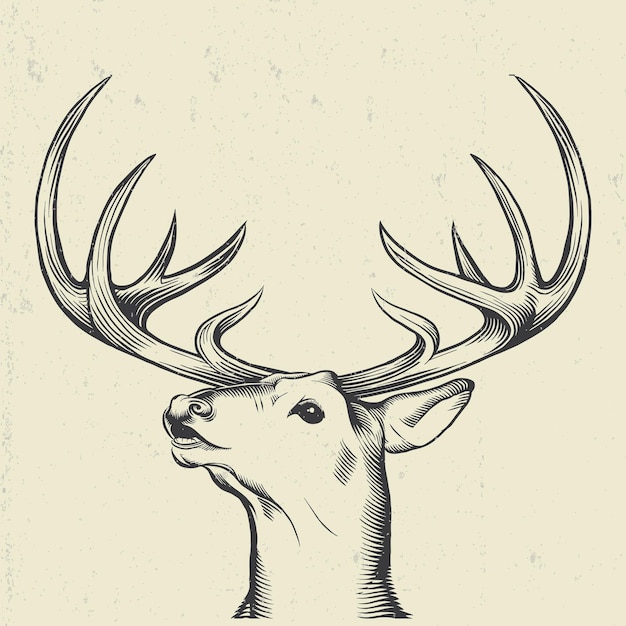 vector head deers