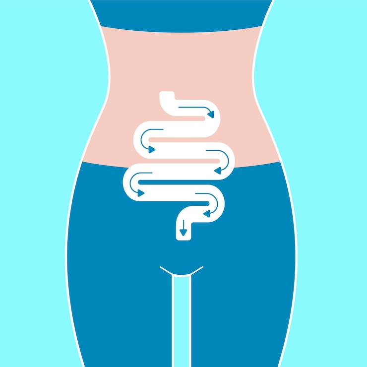 Vector vector healthy woman intestine system