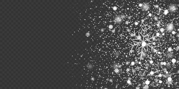 Vector heavy snowfall snowflakes in various shapes and forms