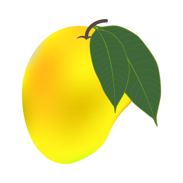 Vector heerlijke mango rijpe gele oranje met blad geïsoleerd op witte achtergrond