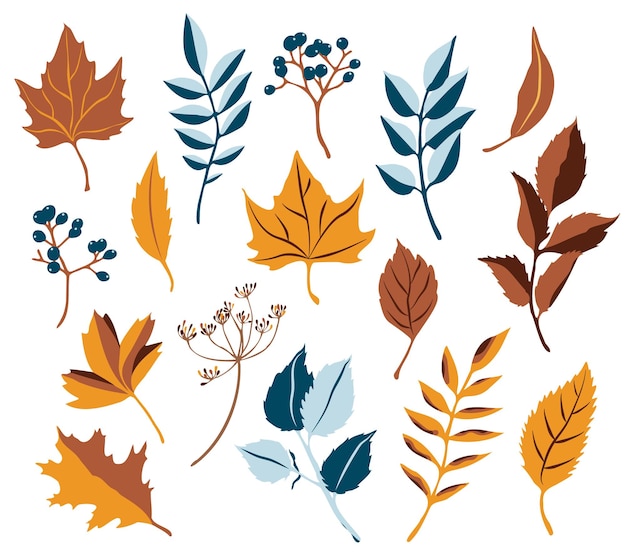 Vector herfst clipart herfstbladeren en bessen oranje en blauwe kleuren thanksgiving day set