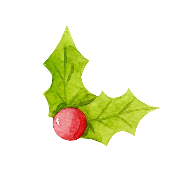 Vector holly berry illustration isolated on white. Winter berry clip art. New Year, Christmas floral design element.