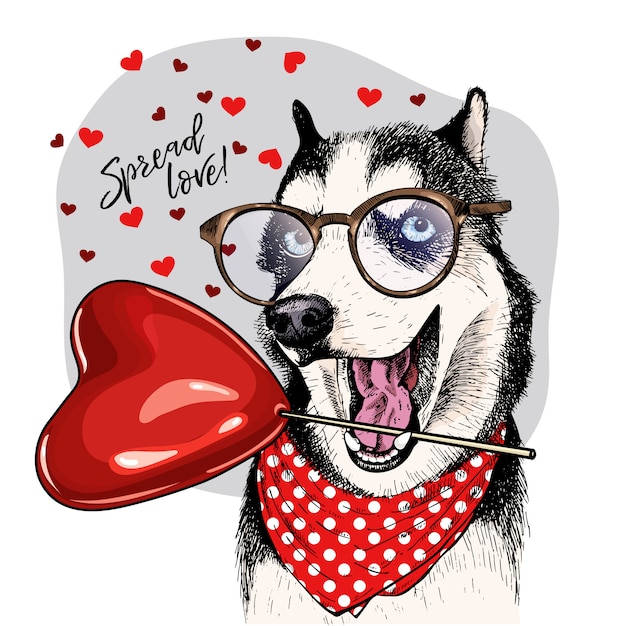 Vector hond. valentine dag wenskaart.