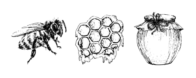 Vector honing instellen. Vintage hand getekende illustratie. Gegraveerd biologisch voedsel