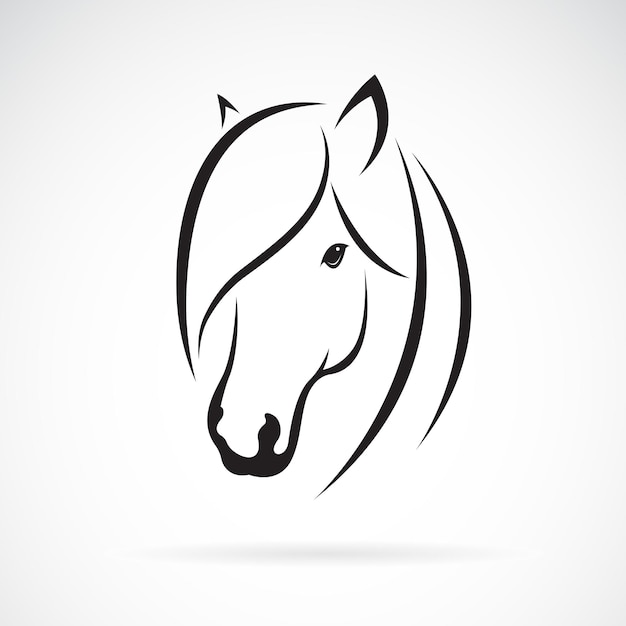 Vector of horse head design on white background Animal Easy editable layered vector illustration