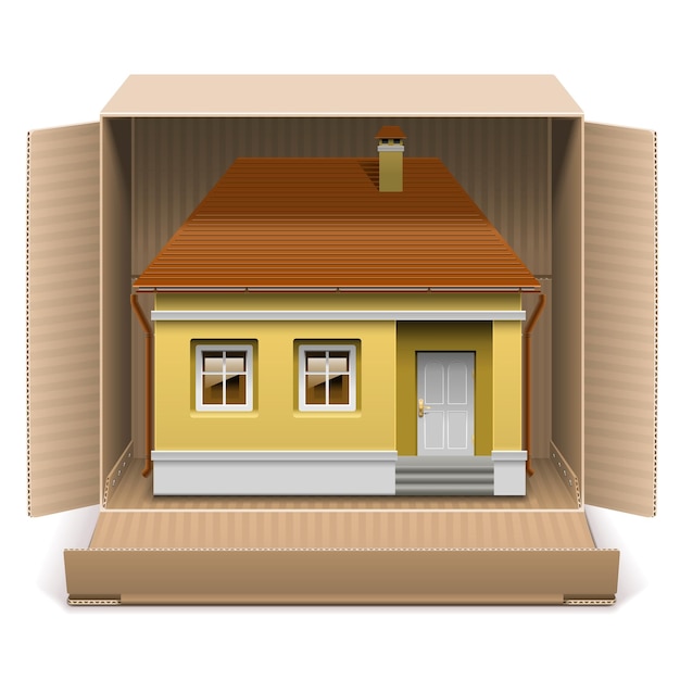 Vector House in Carton Box isolated on white background