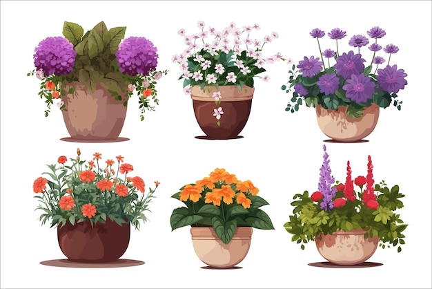 Vector house and garden flowers in long pots vector isolated on white background Isolated on background Cartoon vector illustration