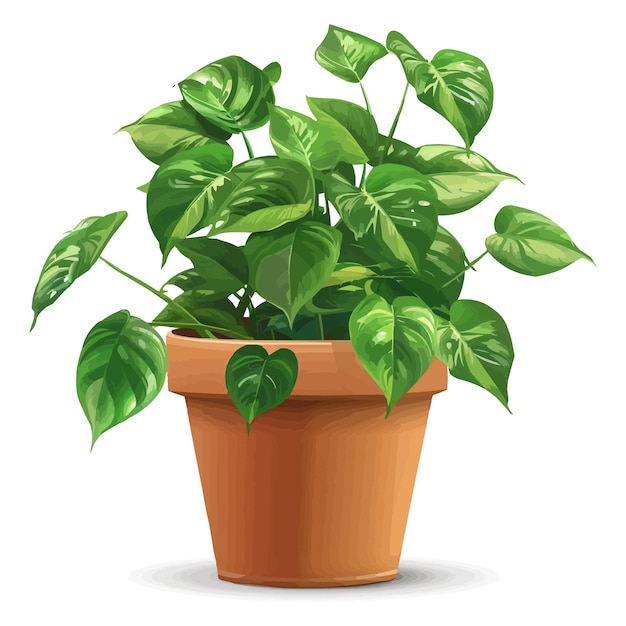 vector houseplant in brown flowerpot on white background