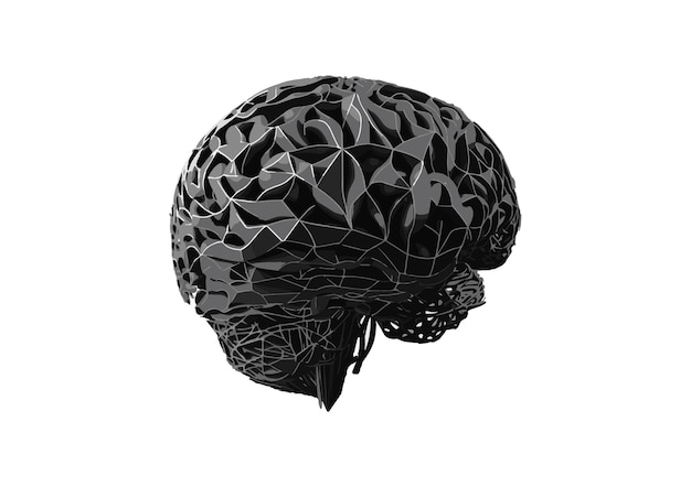 Vector vector human brain