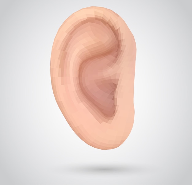 Vector human ear. hearing treatment, plastic surgery, implantation