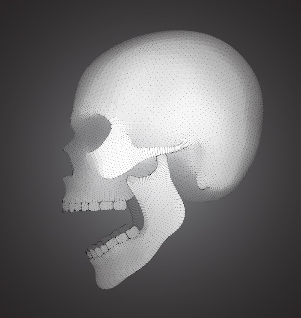 Vector vector human skull on color background. a symbol of death, halloween, the day of the dead and hacker attacks