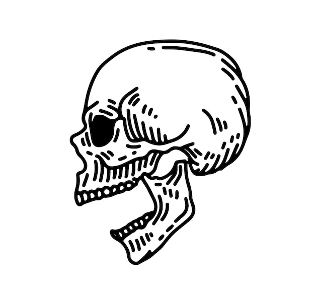 Vector human skull with a lower jaw in vintage engraving style Hand drawn retro style illustrations