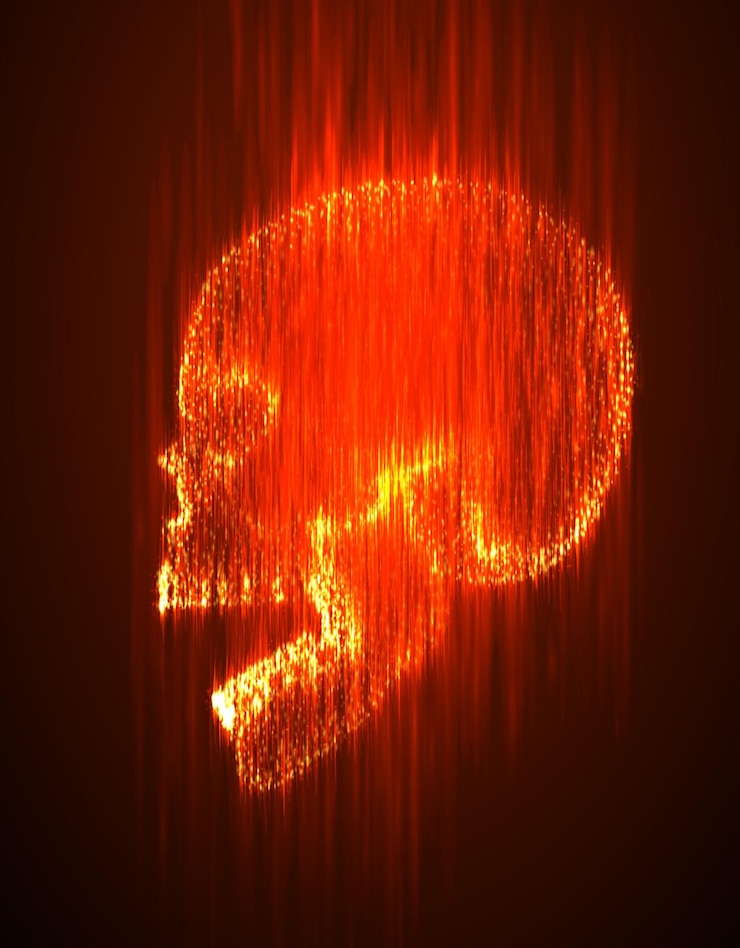 Vector vector human skull