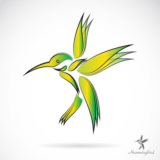 Vector of hummingbird on white background Easy editable layered vector illustration