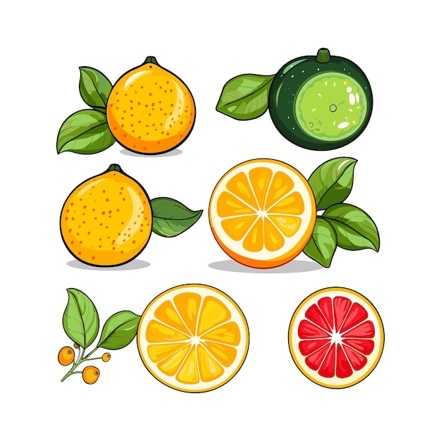 Vector vector icon illustration colorful lemon