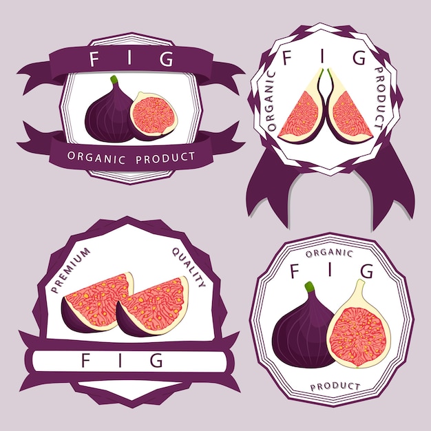 Vector icon illustration logo for whole ripe fruit purple fig slice half sycamine Fig pattern consisting of natural design tropical tasty food Eat sweet fresh raw fruits exotic figs