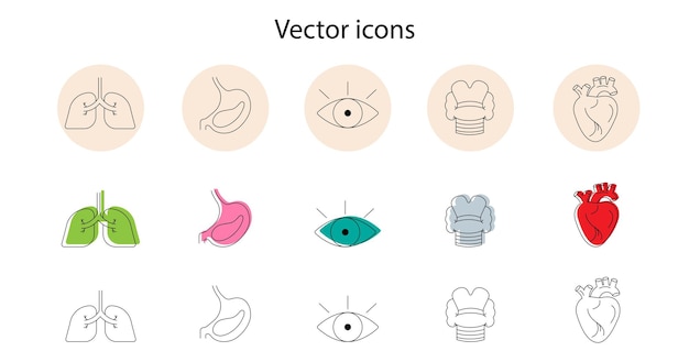 Vector iconen over het thema gezondheid hart longen schildklier ogen maag