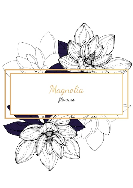 Vector vector illustratie botanische bloemen bruiloft uitnodigingskaart met witte anijs magnolia bloem