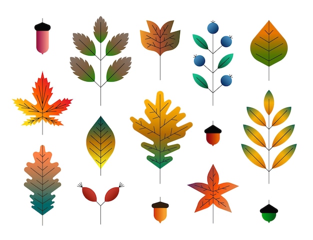 Vector vector illustratie icon set van kleurrijke herfstbladeren en bessen geïsoleerd op een witte achtergrond