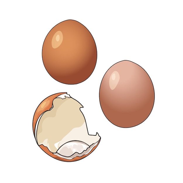Vector illustratie set eieren hele en gebroken kippeneieren geïsoleerd op een witte achtergrond