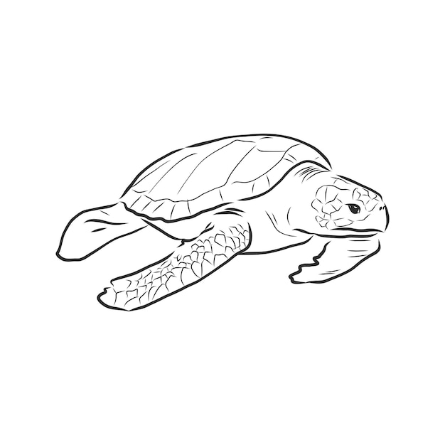 Vector illustratie tatoeage dier schildpad vector schets illustratie