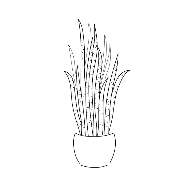 Vector illustratie tekening contourlijn huis plant Sansevieria