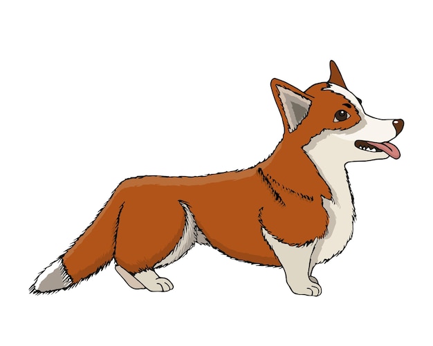 Vector illustratie welsh corgi Vriendelijke cartoon hond staat op vier poten en stak zijn tong uit