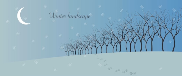 Vector illustratie. Winterlandschap. Blauwe lucht, besneeuwd winterlandschap met bomen.