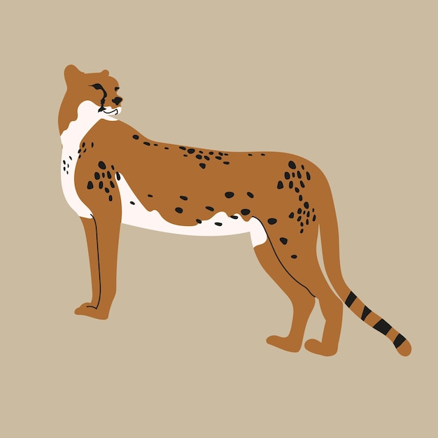 Vector vector illustration of an african cheetah on a beige background side view